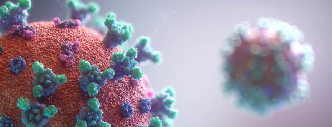 Abbildung: Coronavirus