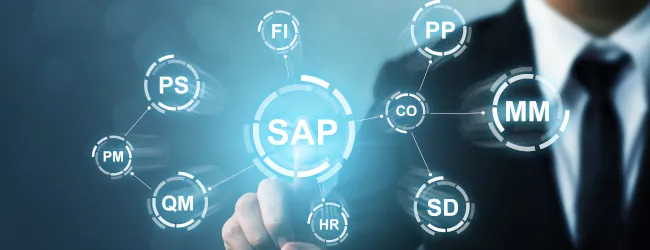 Abbildung: Business Management Software SAP4HANA